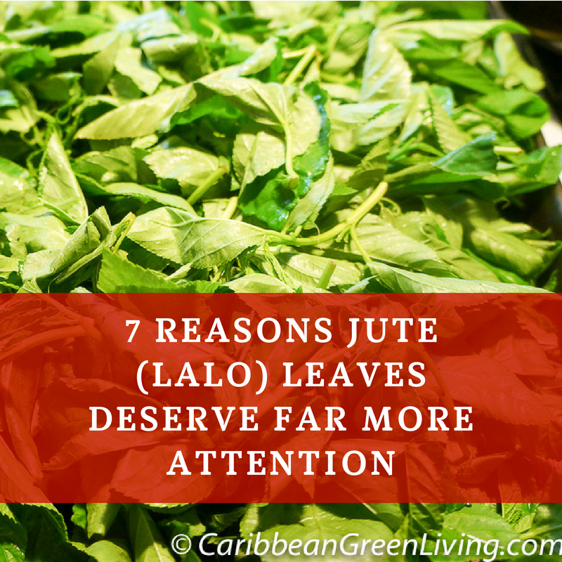 7 Reasons Jute Leaves Or Lalo Leaves Deserve Far More
