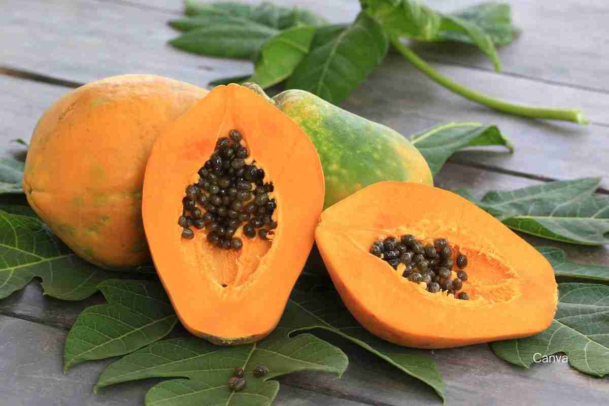 Papaya: The Tropical Fruit With A World Of Health Benefits