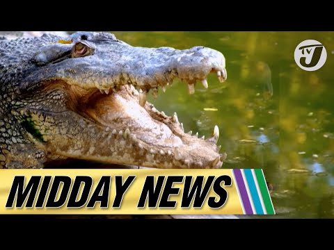 43 Guns Hidden in 5 Barrels | Crocodile Meat Found in Restaurant #tvjmiddaynews