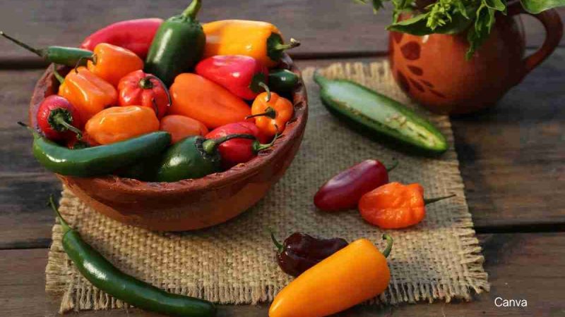 Savor The Vibrant Heat Of Serrano And Jalapeño Peppers