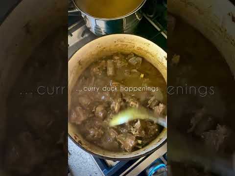 Save a Chicken, Curry A Duck