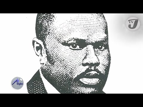 Reactions to Marcus Garvey Pardon | TVJ All Angles