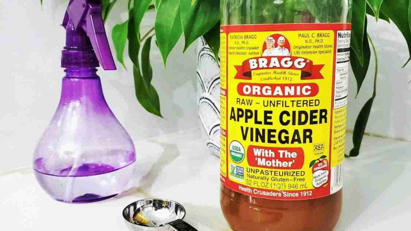Important Uses For Apple Cider Vinegar In The Kitchen!