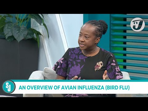 An Overview of Avian Influenza ‘Bird Flu’ with Dr Michelle Brown | TVJ Smile Jamaica