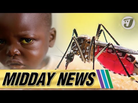 Yellow Fever Surveillance for Jamaica | Fire Hydrants Crisis in Manchester