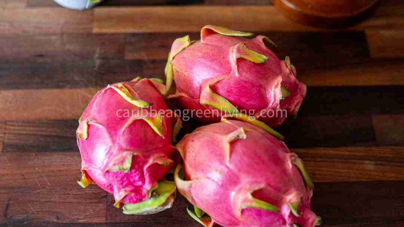 Dragon Fruit: Health Benefits, How To Eat, And Zero-Waste Uses