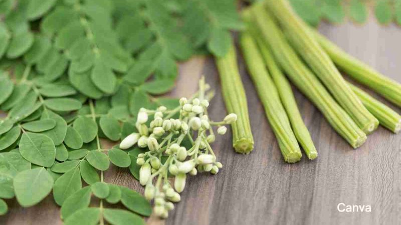 Moringa: The Superfood You Need To Know About