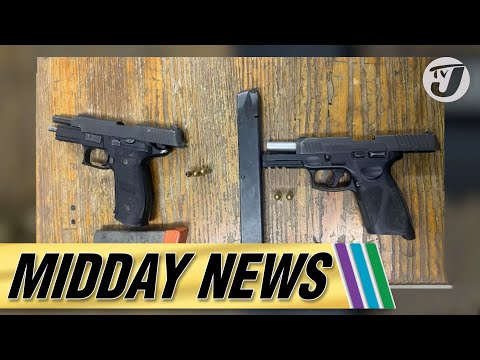 Illegal Guns and Firearms Seized, 2 Charged | Discovery Bay Taxi Drivers Protest