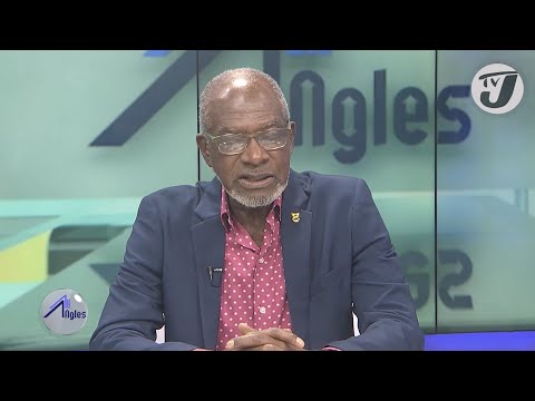 Polls & Politics – Goes Together Like Ackee & Saltfish | TVJ All Angles