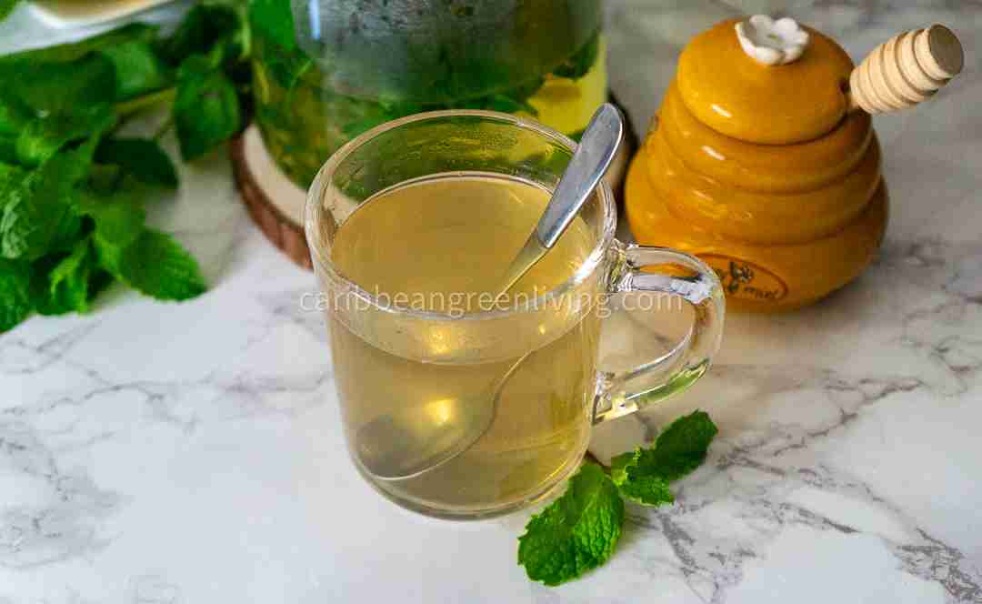 Discover The Soothing Power Of Mint Tea