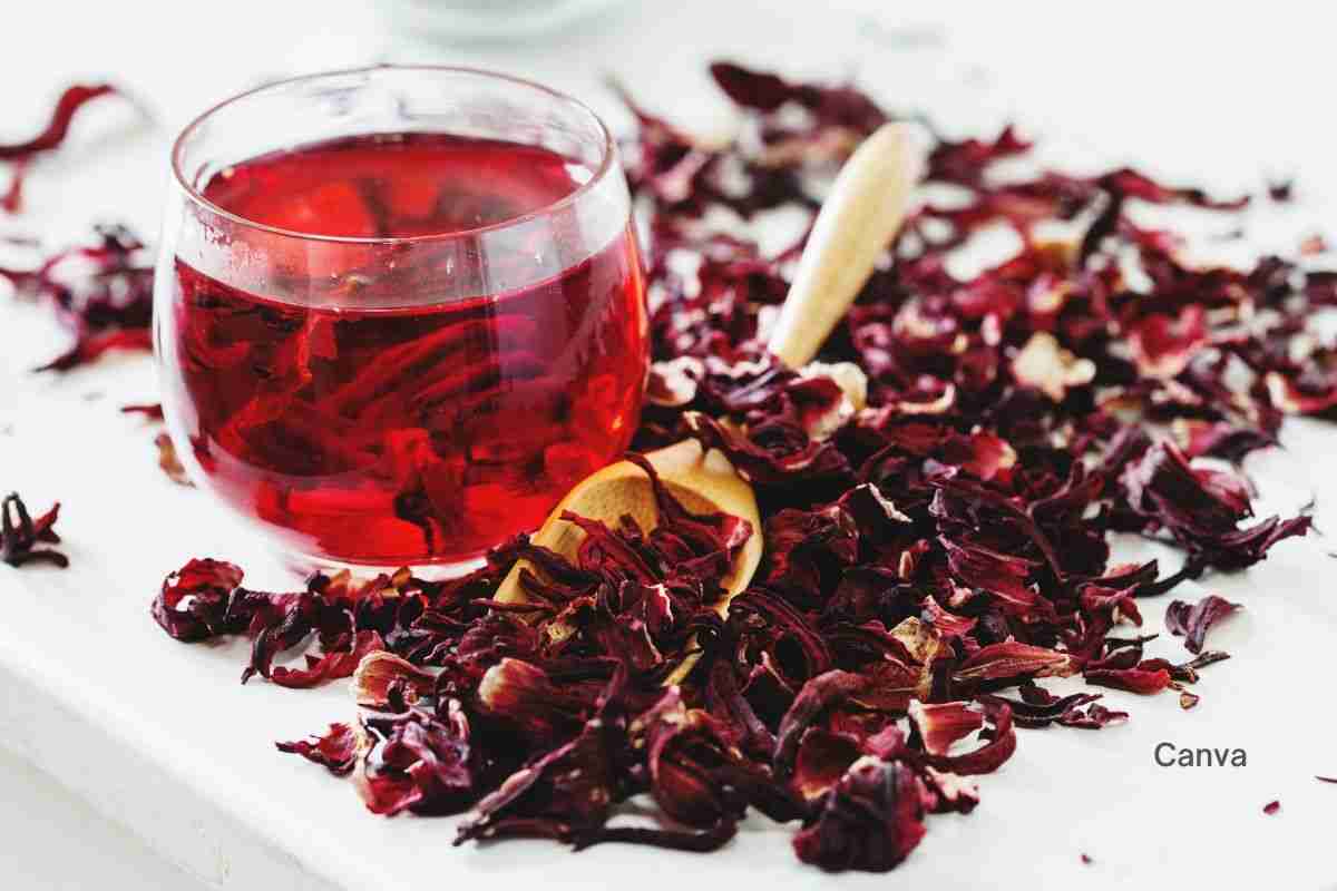 How To Make Hibiscus Tea: A Refreshing And Easy Recipe