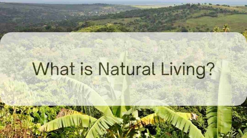 What Is Natural Living?