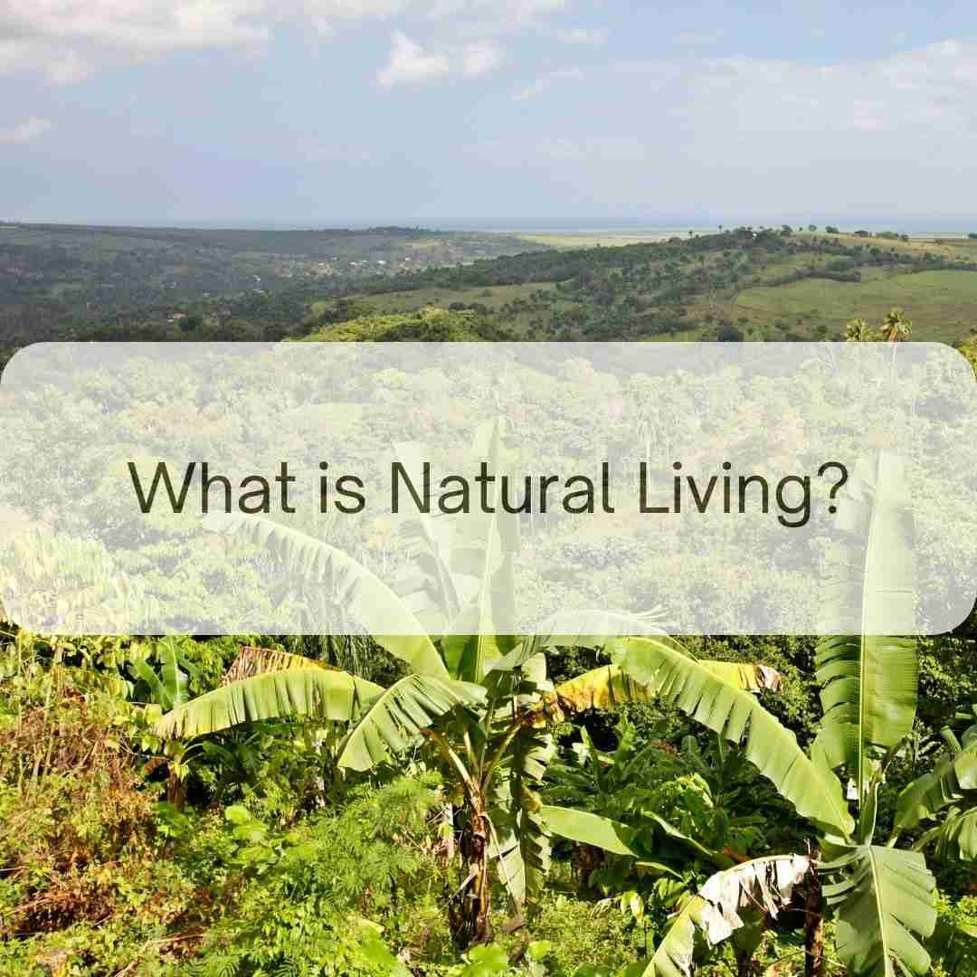 What Is Natural Living?