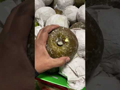 Breadfruit Situation.