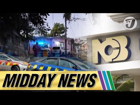 2 More Arrested in NCB Phishing Scam | PNP Councillors May be Fined For Signs