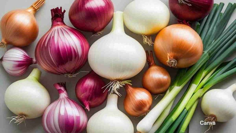 6 Popular Types Of Onions And How To Use Them