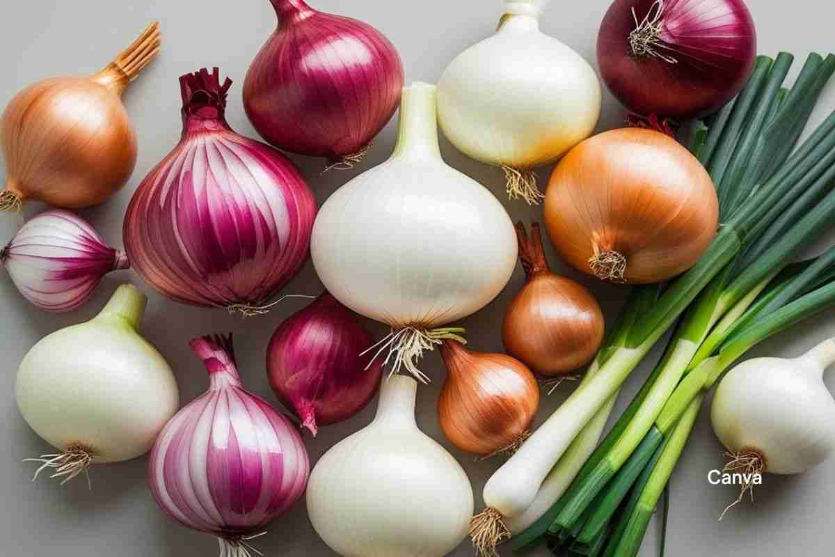 6 Popular Types Of Onions And How To Use Them