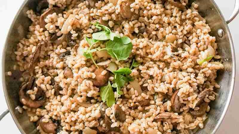 Warm Pearl Barley With Mushroom Salad