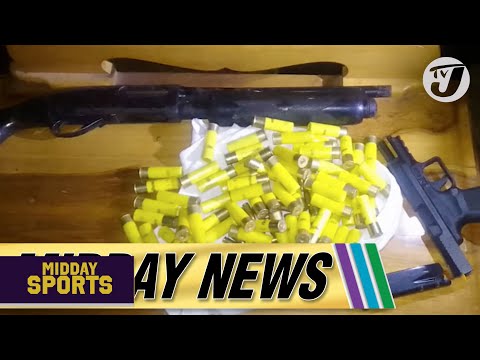 86% Recovery Rate of Firearms | Driver in Hit & Run Incident Captured