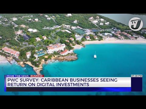 PWC Survey: Caribbean Business Seeing Return on Digital Investments | TVJ Business Day