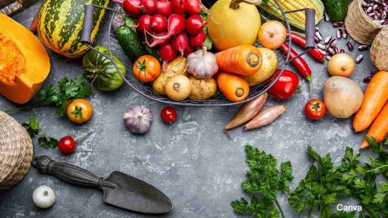 Top 10 Caribbean Pantry Staples For A Flavorful Kitchen