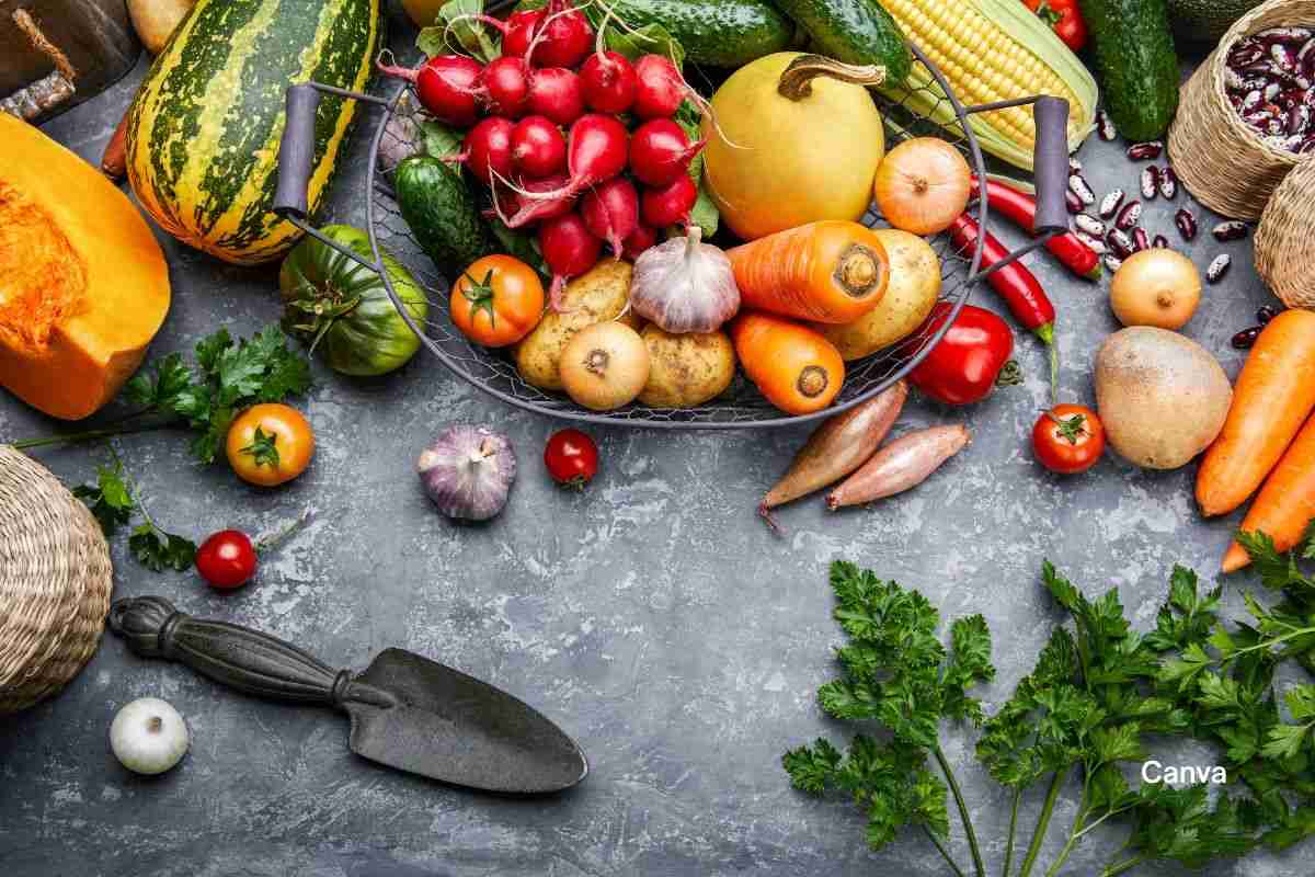 Top 10 Caribbean Pantry Staples For A Flavorful Kitchen