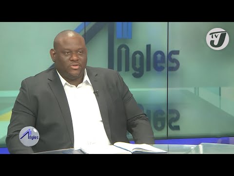 JLP Senator Commenting on the Latest Poll | TVJ All Angles