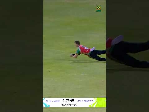 INCREDIBLE diving catch! 🔥