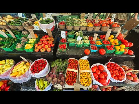 NEW! Romagnoli Farms Market #gallivanting