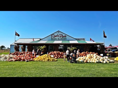 Sam’s Place Farm Market #gallivanting