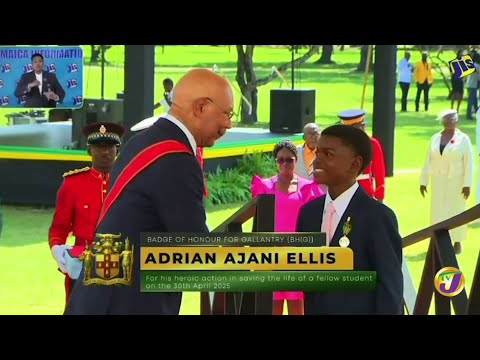 13-year-old Adrian Ellis awarded the Badge of Honour for Gallantry | TVJ
