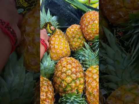 Best Pineapples In Canada