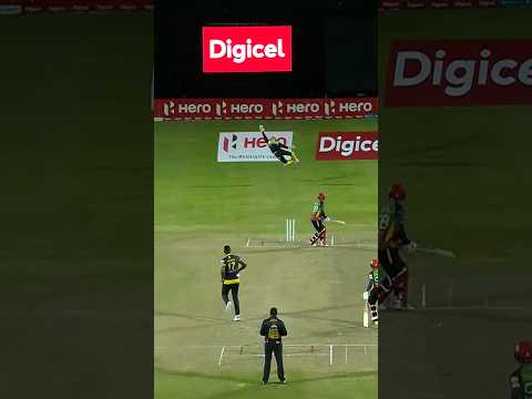 GREATEST wicket keeper catches! 🤯