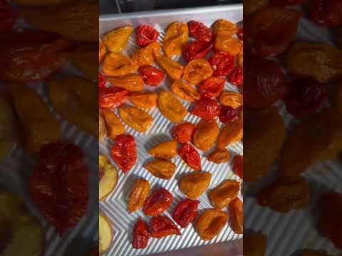 Habanero Peach Maple Syrup Hot sauce