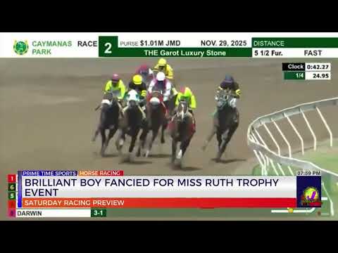 Brilliant Boy Fancied for Miss Ruth Trophy Event | TVJ Sports