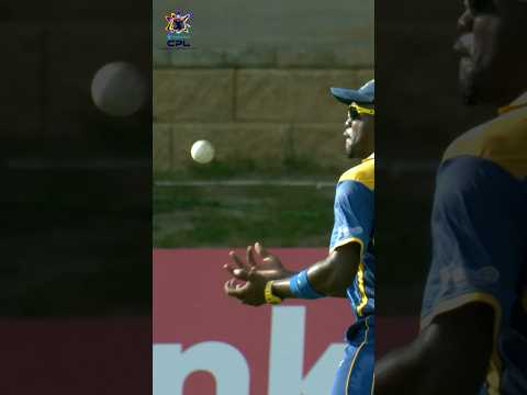 HOW did he take this? 😱