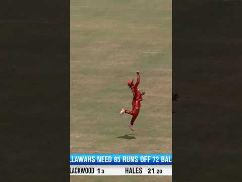 TWO GREATEST catches in a match!? 😱