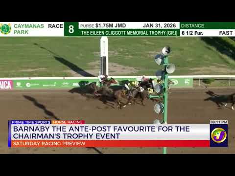 Barnaby the Ante-Post Favourite for the Chairman’s Trophy Event | TVJ Sports