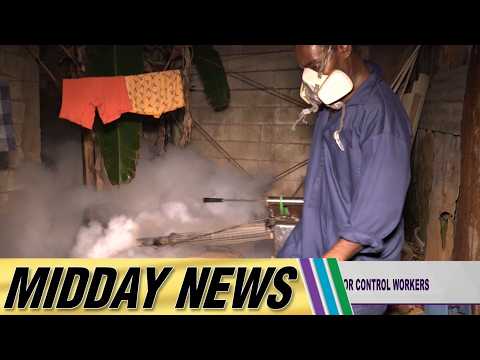 Cllrs. Raise Concern Over Reduced Overtime Hours for Vector Control Workers | Midday News