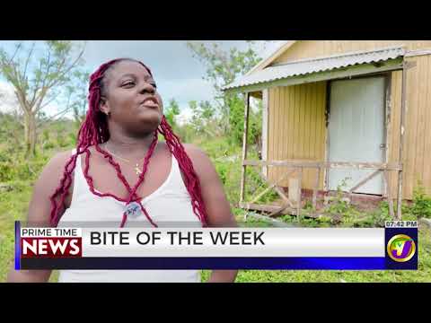 Jaseine Greenfield |  Bite of the Week