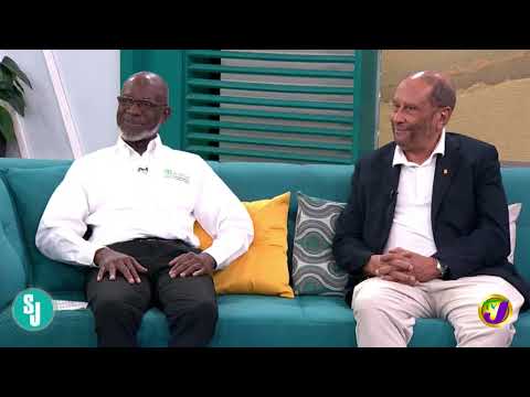 “Worl Nuh Level” Reality | TVJ Smile Jamaica