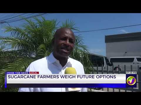 Sugarcane Farmers Weigh Future Options | TVJ News