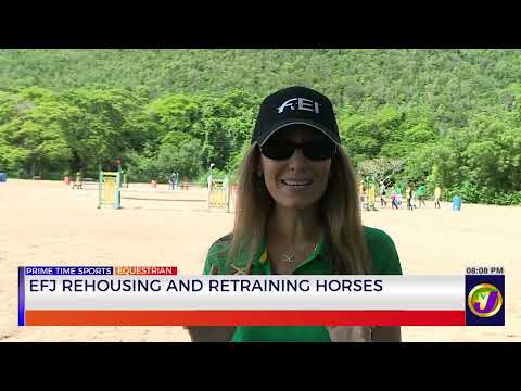 ERJ Rehousing and Retraining Horses | TVJ Sports