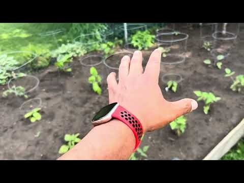 2026 Garden Sneak Peek.