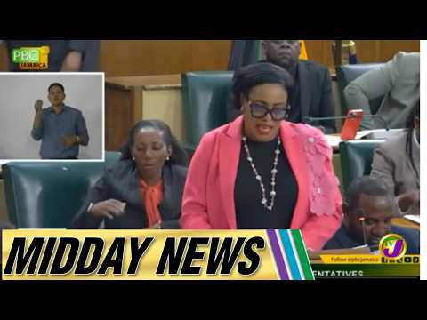 Purkiss Slams Hotel In-House Transport Systems  | Midday News