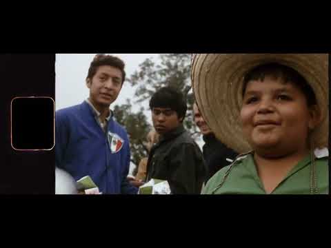 Stories From the Cities: Guadalajara | FIFA World Cup 2026 | Watch on TVJ | Stream on 1SPOTMEDIA