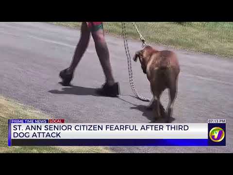 St Ann Senior Citizen Fearful After Third Dog Attack  | TVJ News