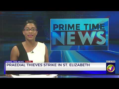 Dry Period Taking A Toll On Farmers in Northern Sections Of Clarendon | TVJ News