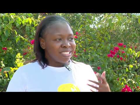 Who Gets the ICU Bed? Inside Jamaica’s Care Crisis | Care Denied Jamaica’s ICU Emergency | TVJ News