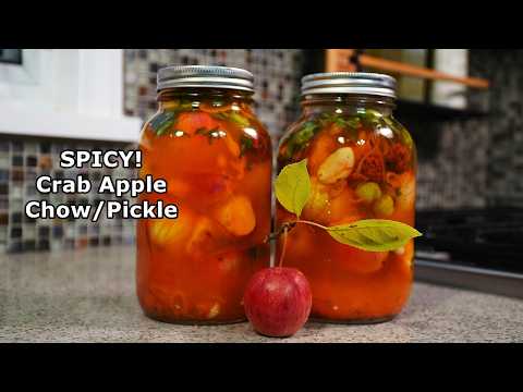 Easy Crab Apple Chow (spicy pickle)